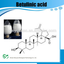 High Standard Betulinic acid 98%